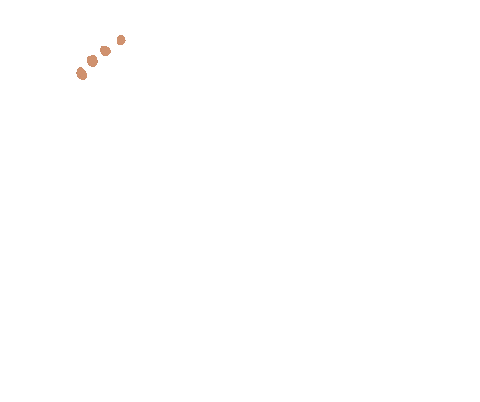 GIF Air
